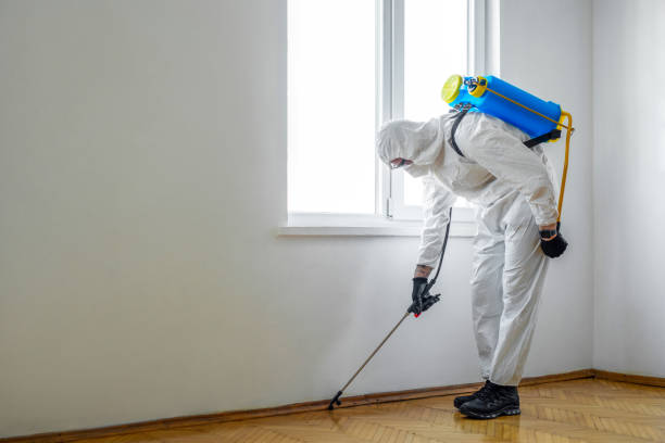 Little Silver, NJ Pest Control Company