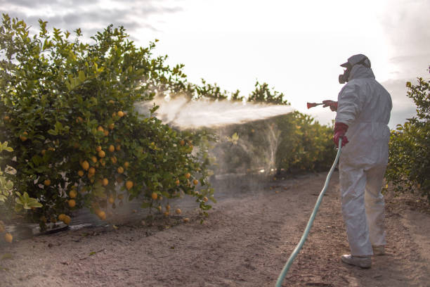 Best Local Pest Control Services  in Little Silver, NJ