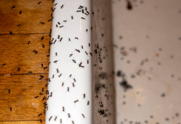 Best Wildlife Control Services  in Little Silver, NJ