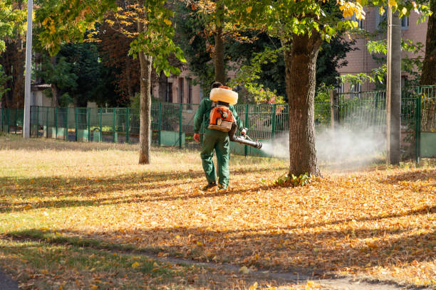 Best Flea Control Services  in Little Silver, NJ